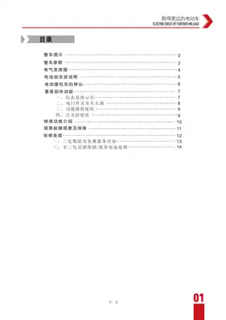 tailg台铃台铃领跑(A6) TL1000DT-E